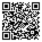 QR-Code - Professionelles Teamlogo II